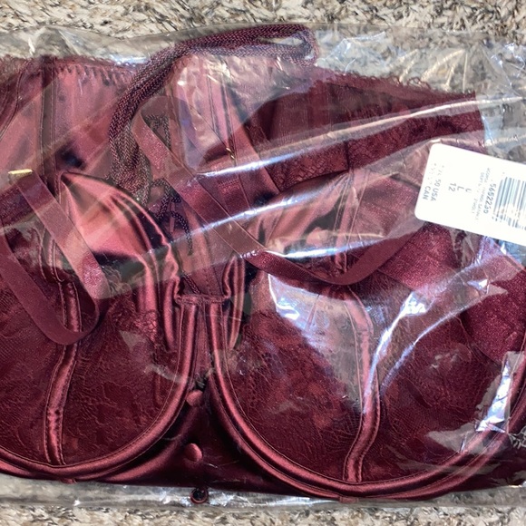 NWT TORRID Lace-Up Corset Bustier - Satin And Lace Burgundy - Picture 12 of 16